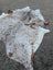 A large white and brown spotted cowhide rug with unique characteristics and rustic charm with a cat resting on it