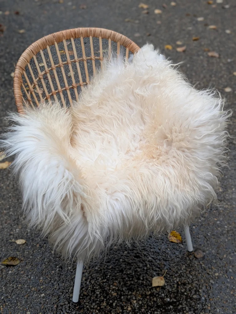 Fluffy natural white icelandic sheepskin long wool throw draped over a wicker chair for cozy decor