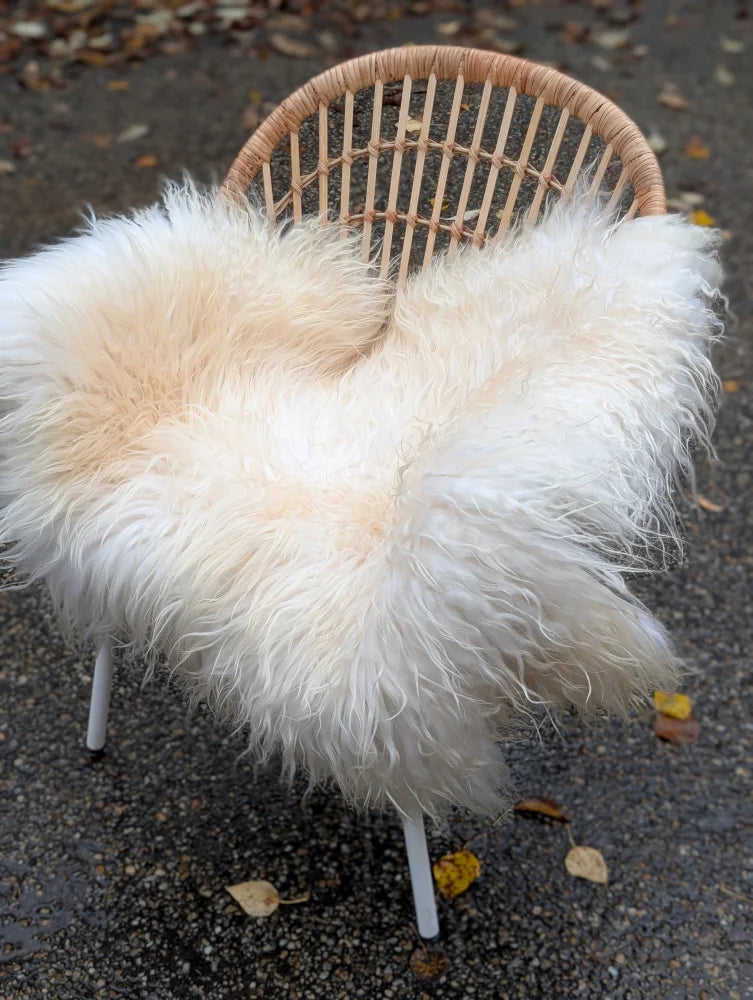 Fluffy natural white icelandic sheepskin long wool chair cover draped over wicker-backed chair with white metal legs