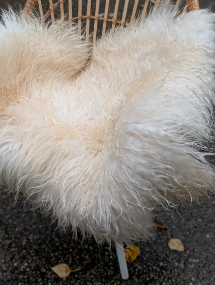 A plush cream-colored natural white icelandic sheepskin long wool throw draped over a wicker chair