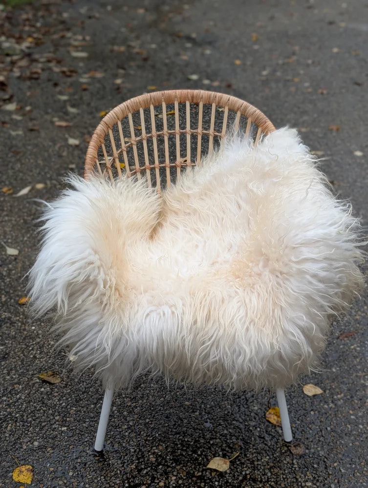 A cozy natural white icelandic sheepskin throw with long wool draped over a woven wicker chair with metal legs