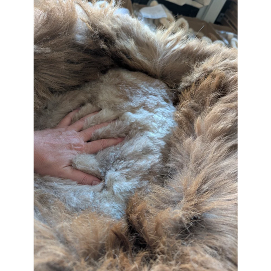 Cozy highland sheepskin pet bed with fluffy brown and white faux fur throw