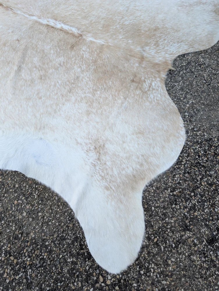 A large off-white cowhide rug 92 x 81 with unique characteristics and rustic charm in soft textured material