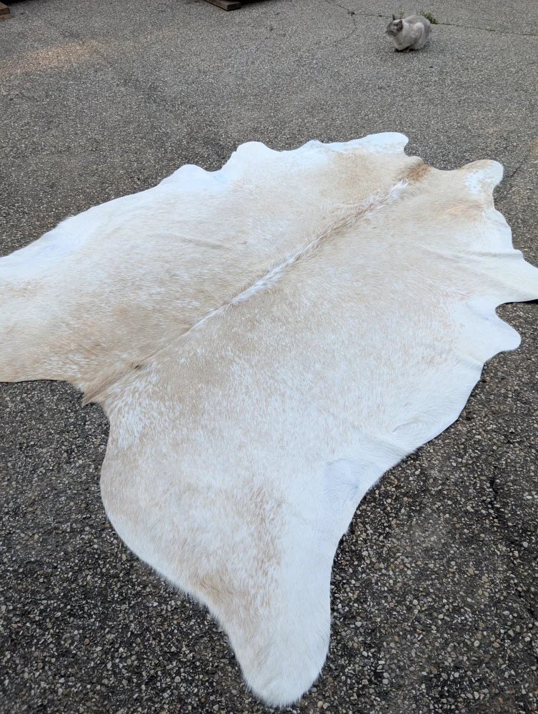 Large cowhide rug with natural white and beige tones and soft fluffy texture offering rustic charm and unique characteristics