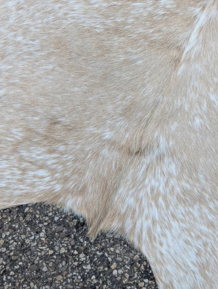 Large beige and white speckled cowhide rug with soft natural fur texture and unique characteristics adding rustic charm