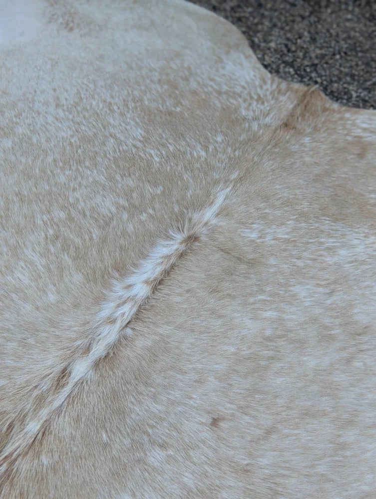 Beige and white speckled large cowhide rug with natural fur texture showcasing unique characteristics and rustic charm
