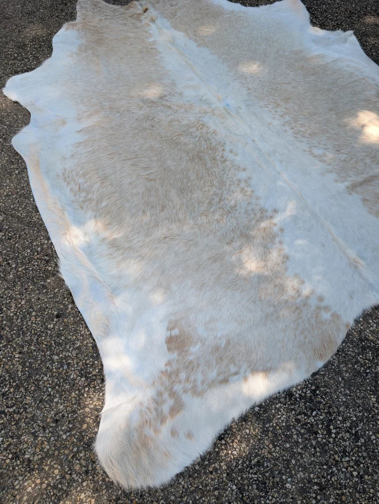Large natural white and beige cowhide rug with soft fluffy texture showcasing unique characteristics and rustic charm