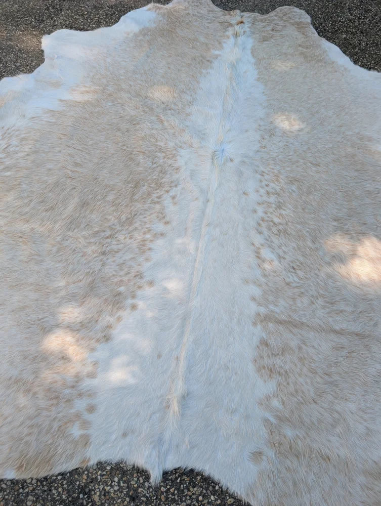 Natural full-length large cowhide rug with soft white and beige fur showcasing unique characteristics and rustic charm
