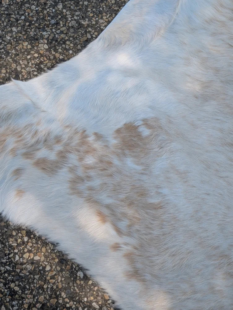 98 x 89 inch white and tan spotted large cowhide rug with unique characteristics and rustic charm natural fur texture