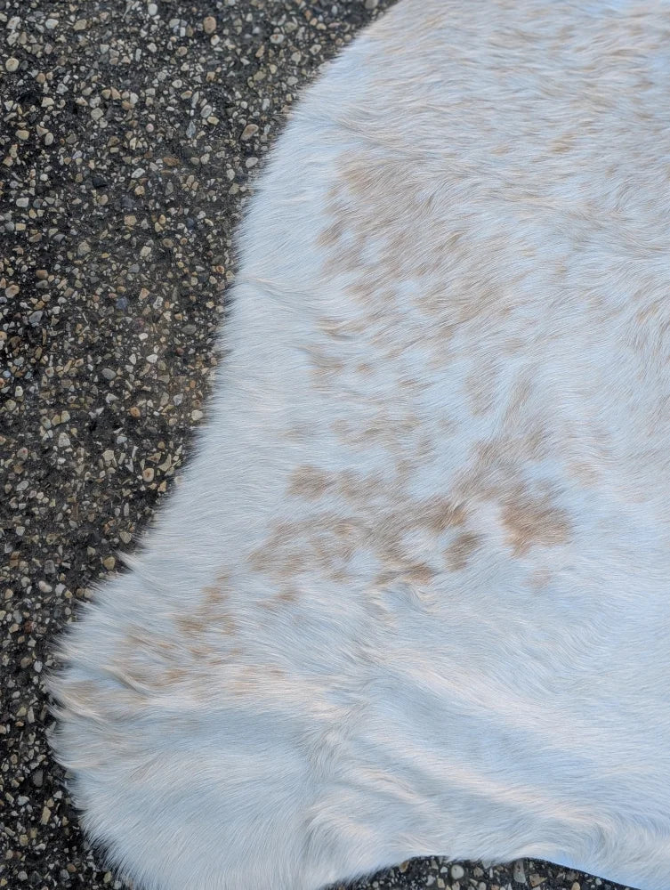 Large 98 x 89 inch white cowhide rug with natural brown patches soft fluffy texture rustic charm and unique characteristics