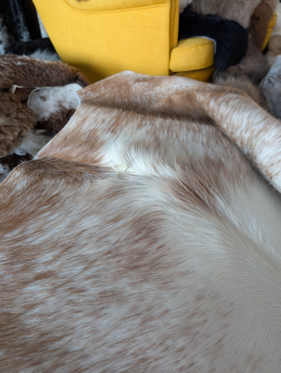 Salty#2 89.5" x 83" Large Cowhide Rug