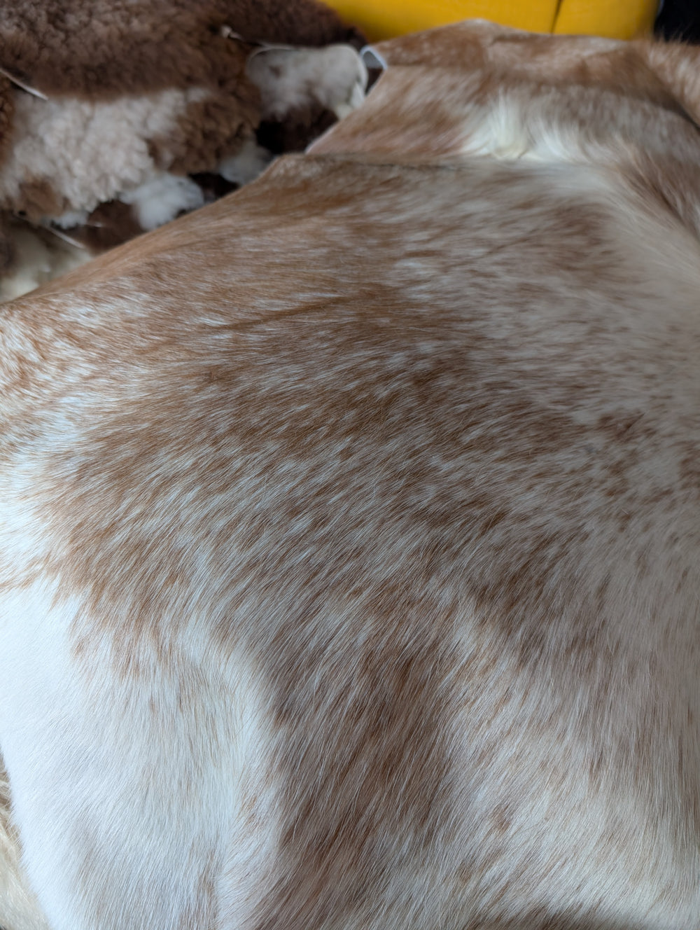 Salty#2 89.5" x 83" Large Cowhide Rug