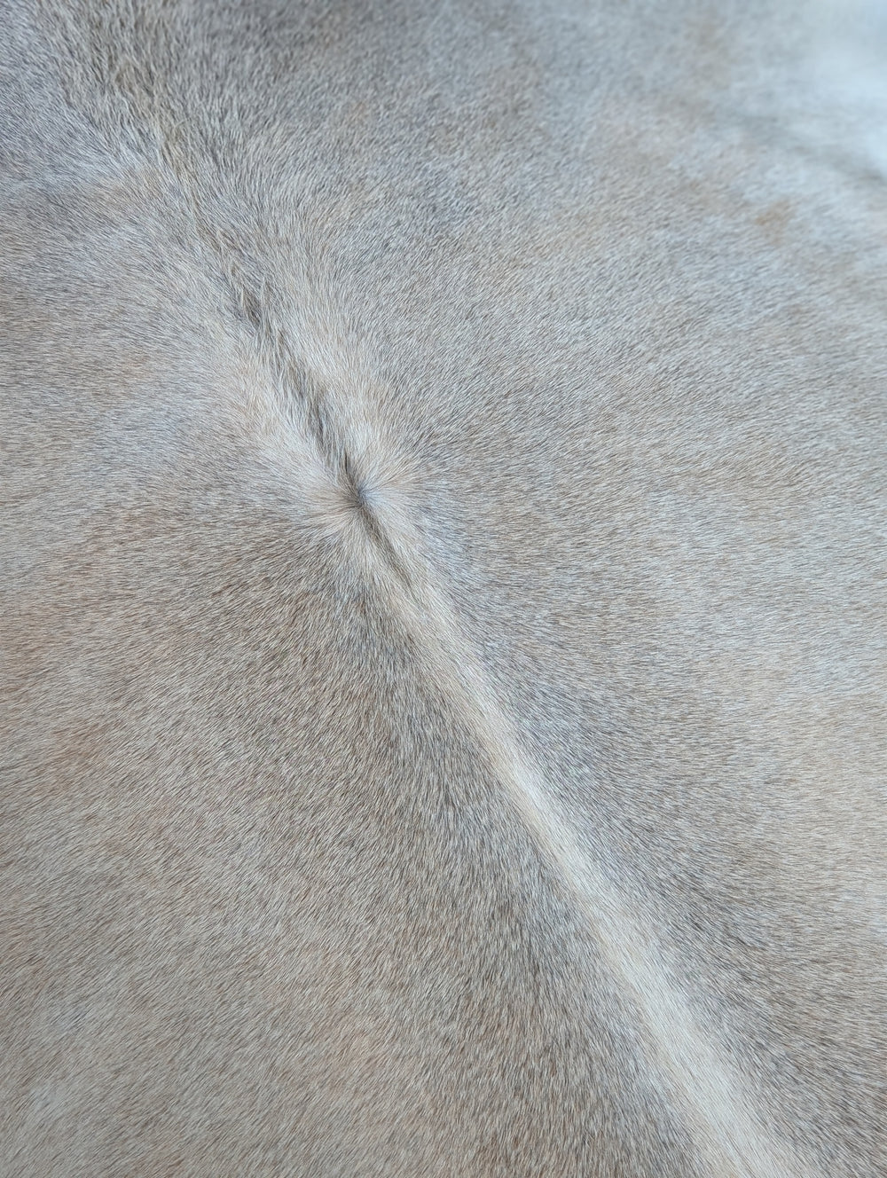 Medium #200❤️84" x 77" Cowhide Rug