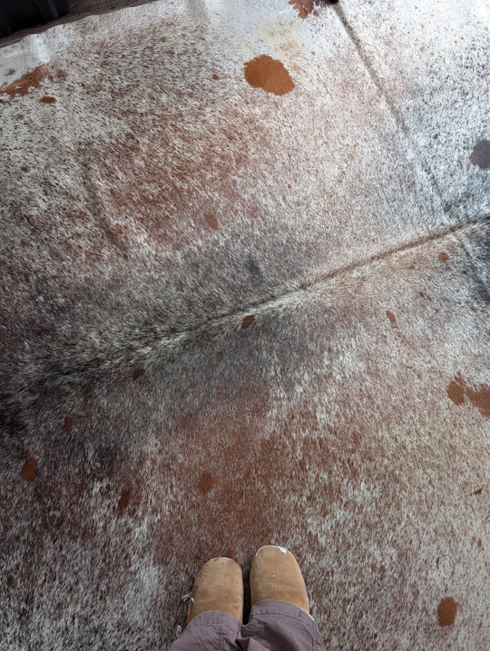 SALTY#10 ❤️91" X 87.5" Gorgeous Extra Large Cowhide