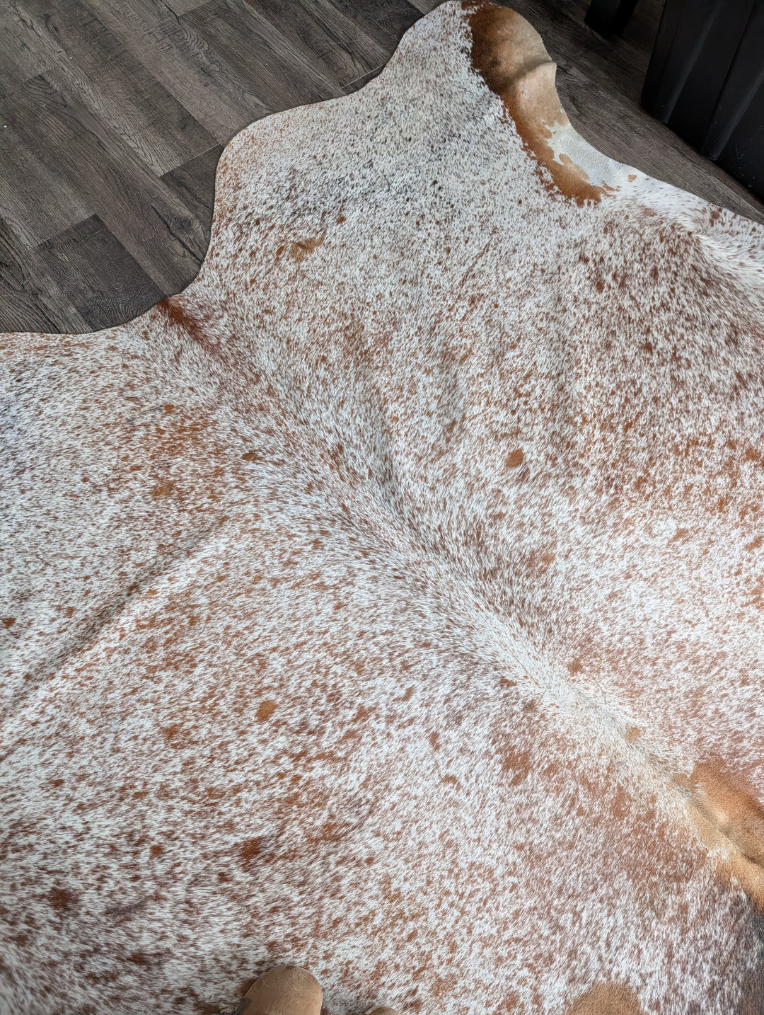 SALTY#11❤️91" x 85" Gorgeous Extra Large Cowhide