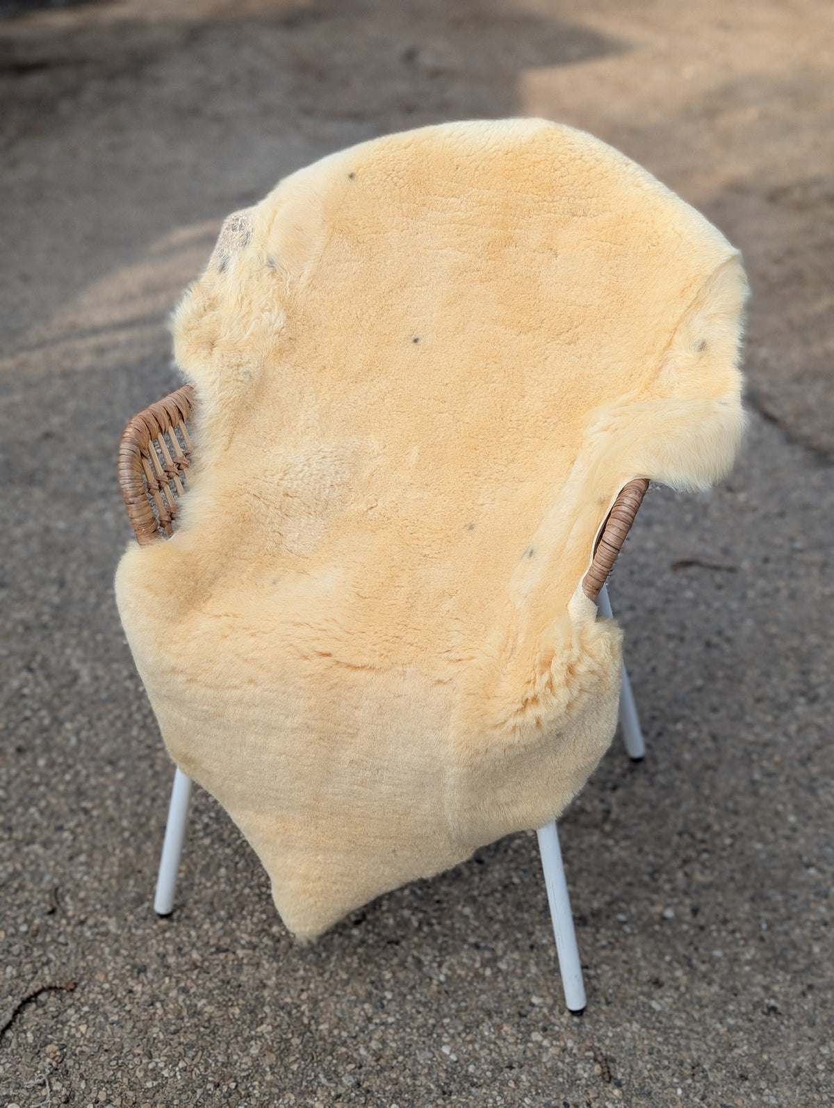 M-16  51" x 29" Extra Large Washable Medical Sheepskin 'Naturally Spotted'