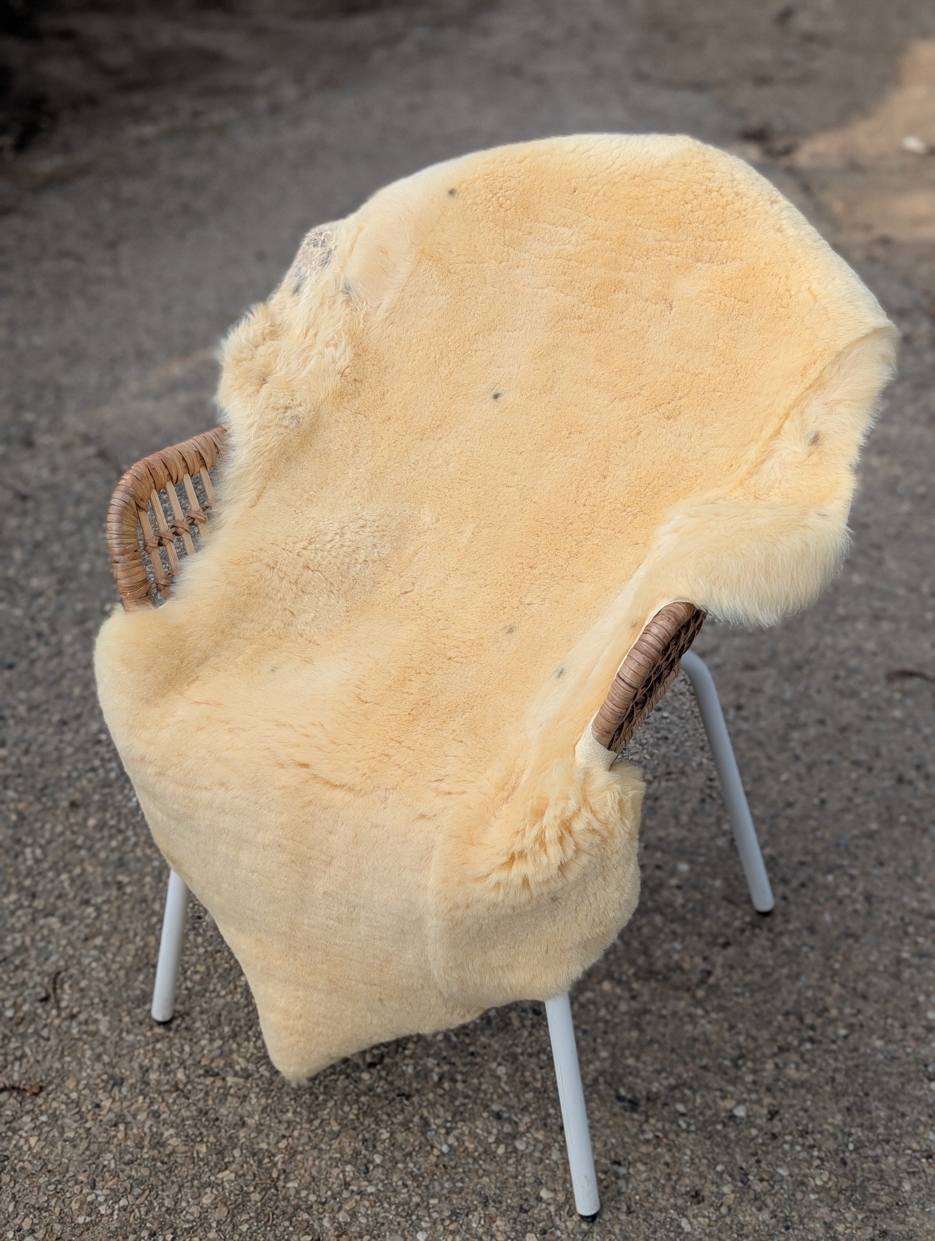 M-16  51" x 29" Extra Large Washable Medical Sheepskin 'Naturally Spotted'