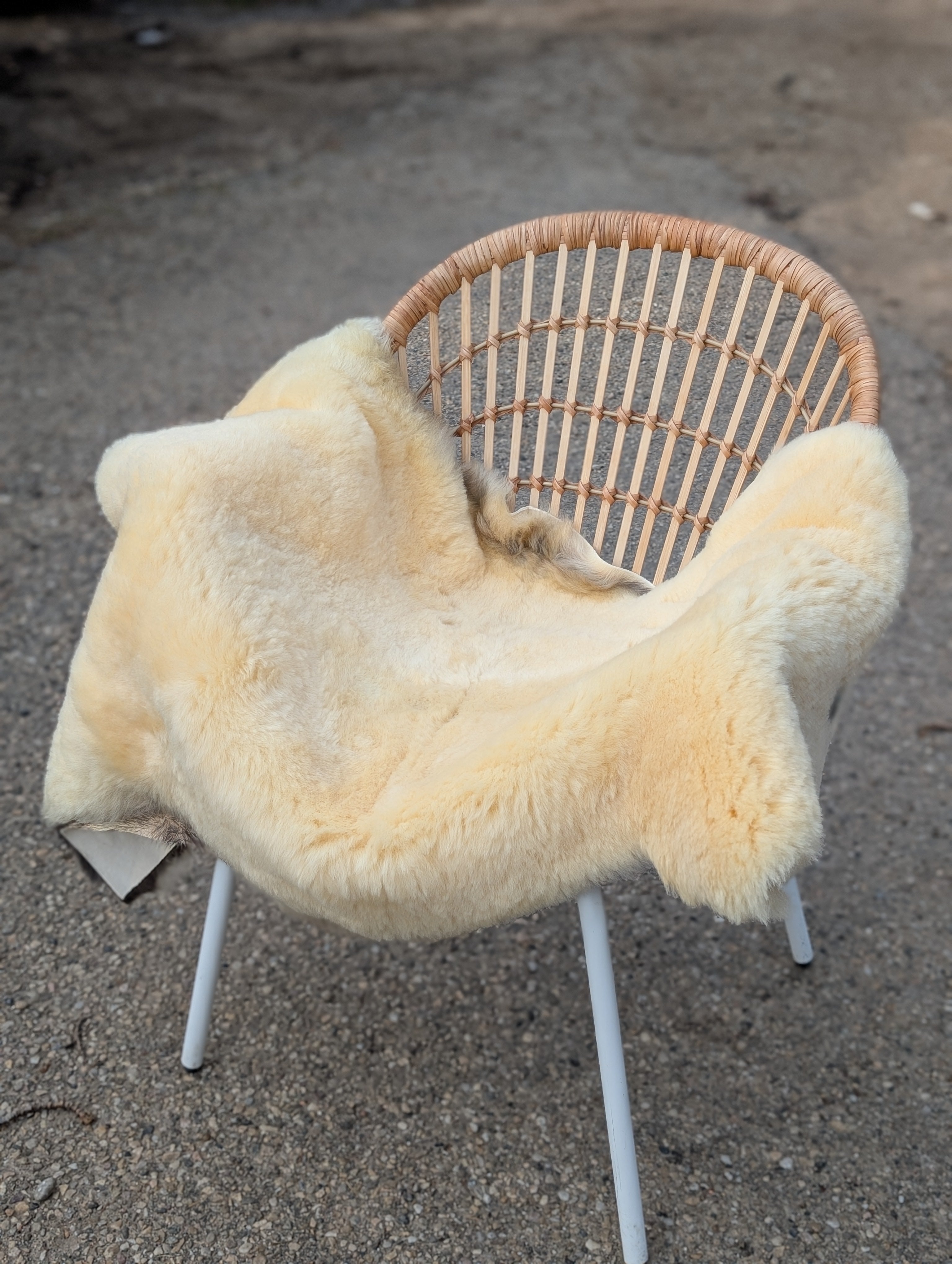 M-14  53" x 29" Extra Large Washable Medical Sheepskin Naturally Spotted