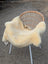 M-14  53" x 29" Extra Large Washable Medical Sheepskin Naturally Spotted