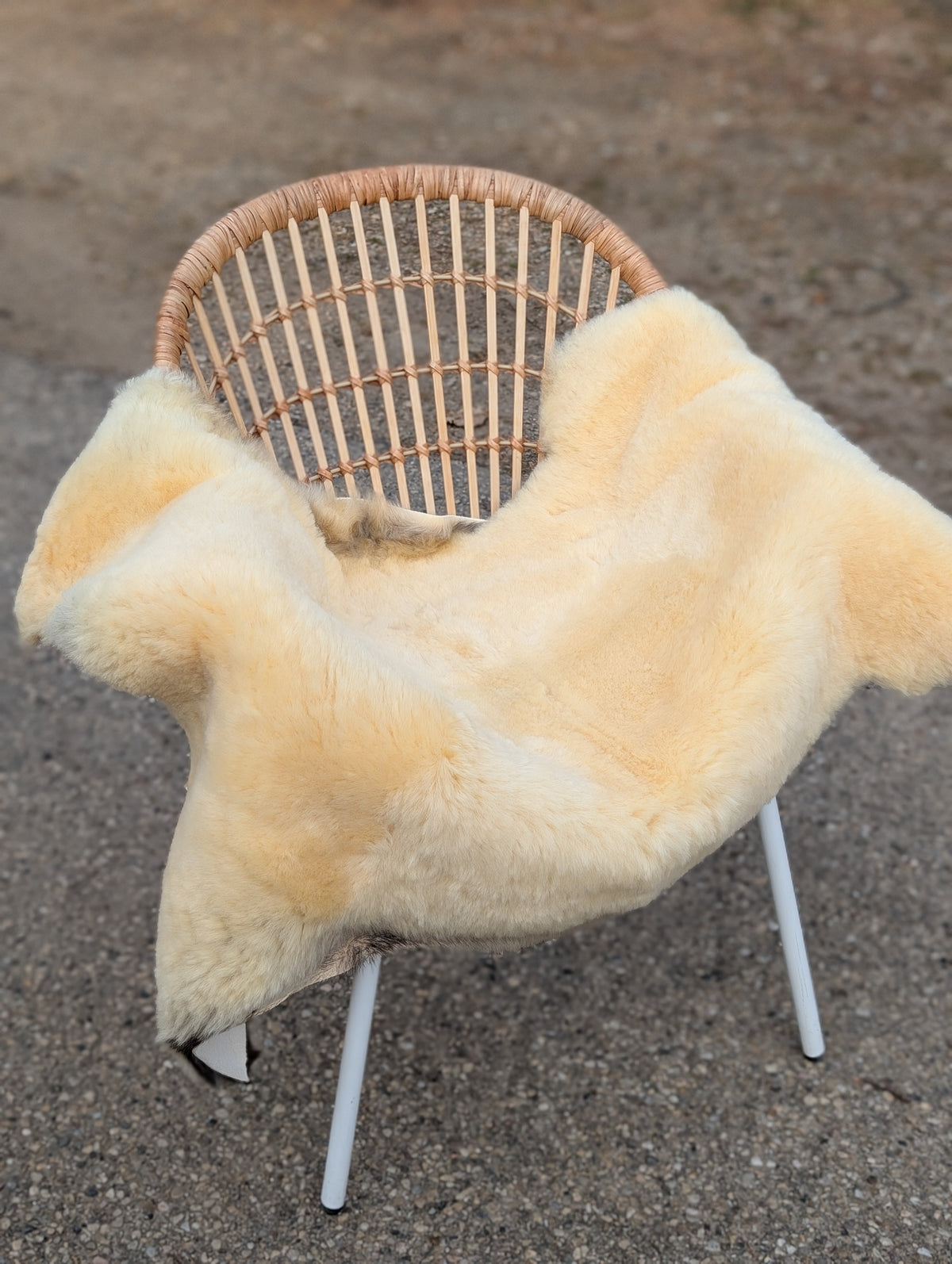 M-14  53" x 29" Extra Large Washable Medical Sheepskin Naturally Spotted