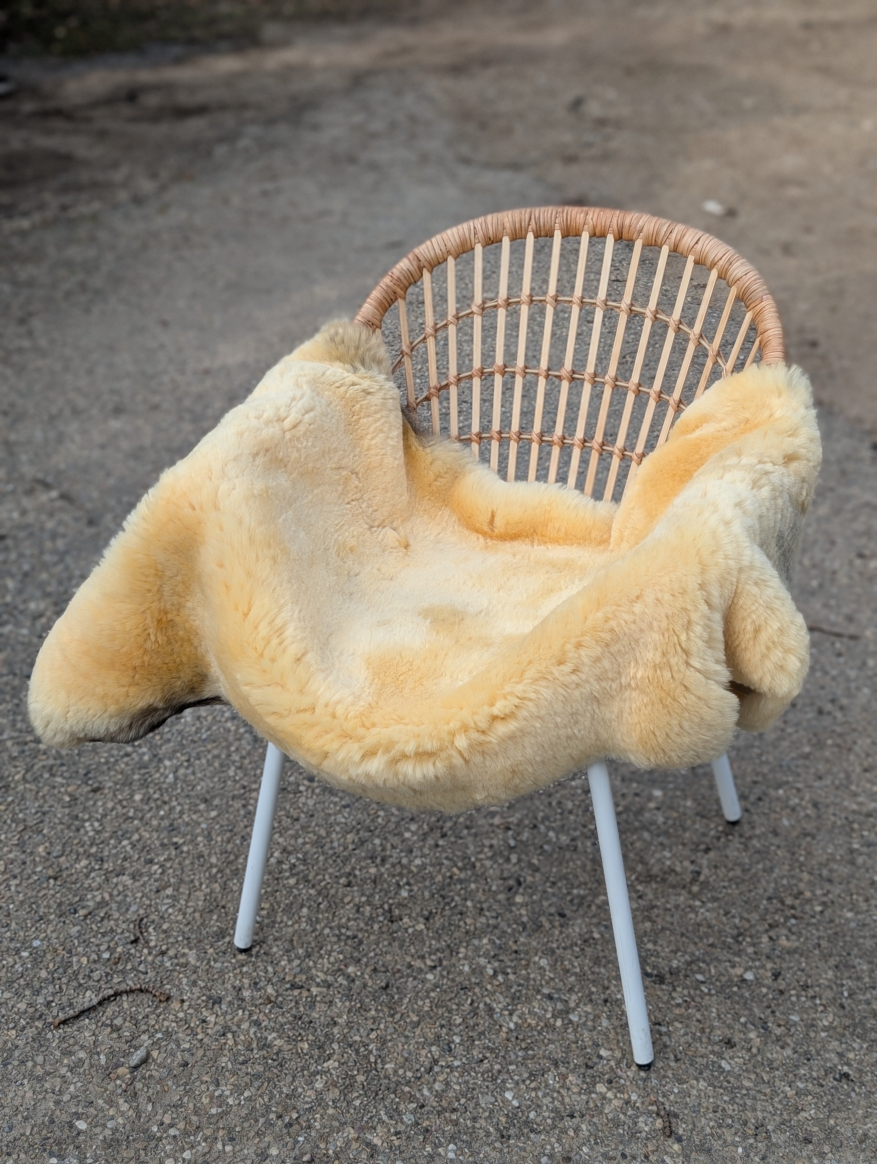M-13  50.5" x 32" Extra Large Washable Medical Sheepskin Naturally Spotted