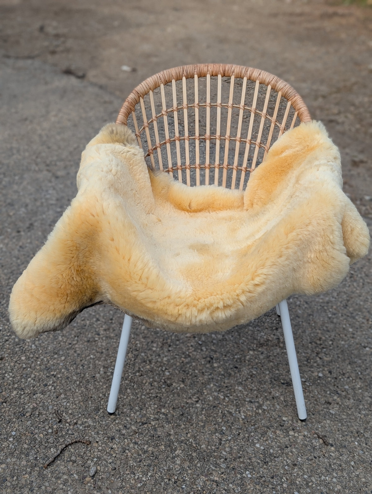 M-13  50.5" x 32" Extra Large Washable Medical Sheepskin Naturally Spotted