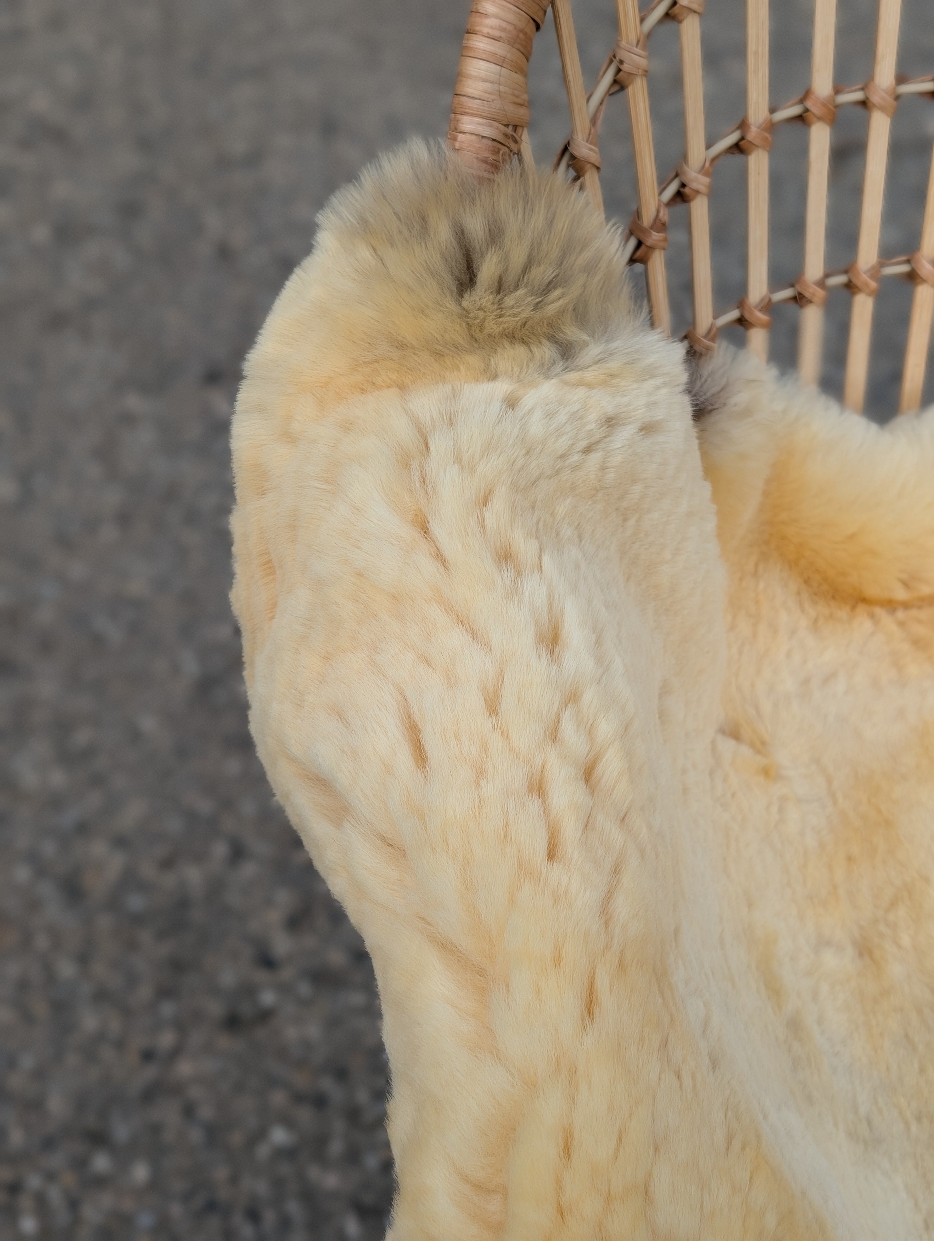 M-13  50.5" x 32" Extra Large Washable Medical Sheepskin Naturally Spotted