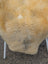 M-13  50.5" x 32" Extra Large Washable Medical Sheepskin Naturally Spotted
