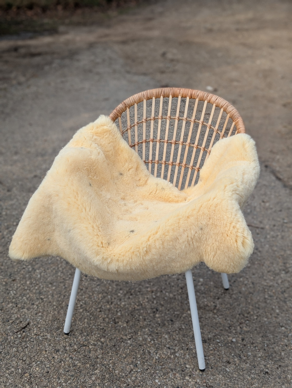 M-9  48.5" x 33" Extra Large Washable Medical Sheepskin Naturally Spotted