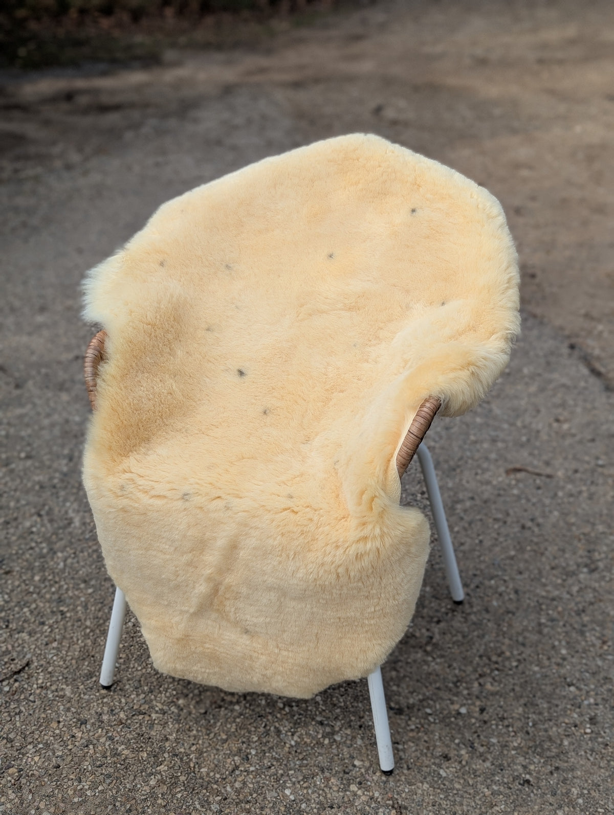 M-9  48.5" x 33" Extra Large Washable Medical Sheepskin Naturally Spotted