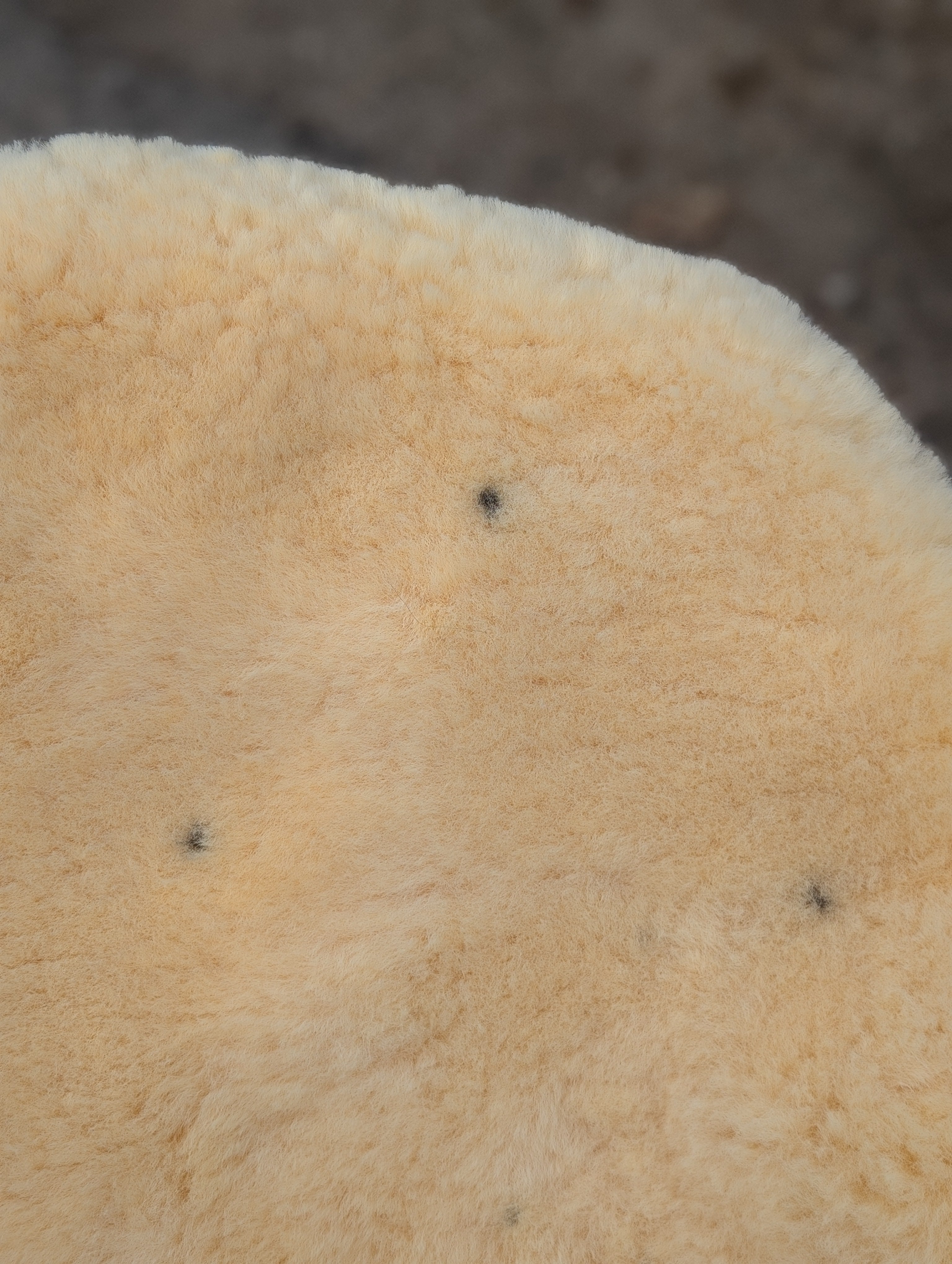 M-9  48.5" x 33" Extra Large Washable Medical Sheepskin Naturally Spotted