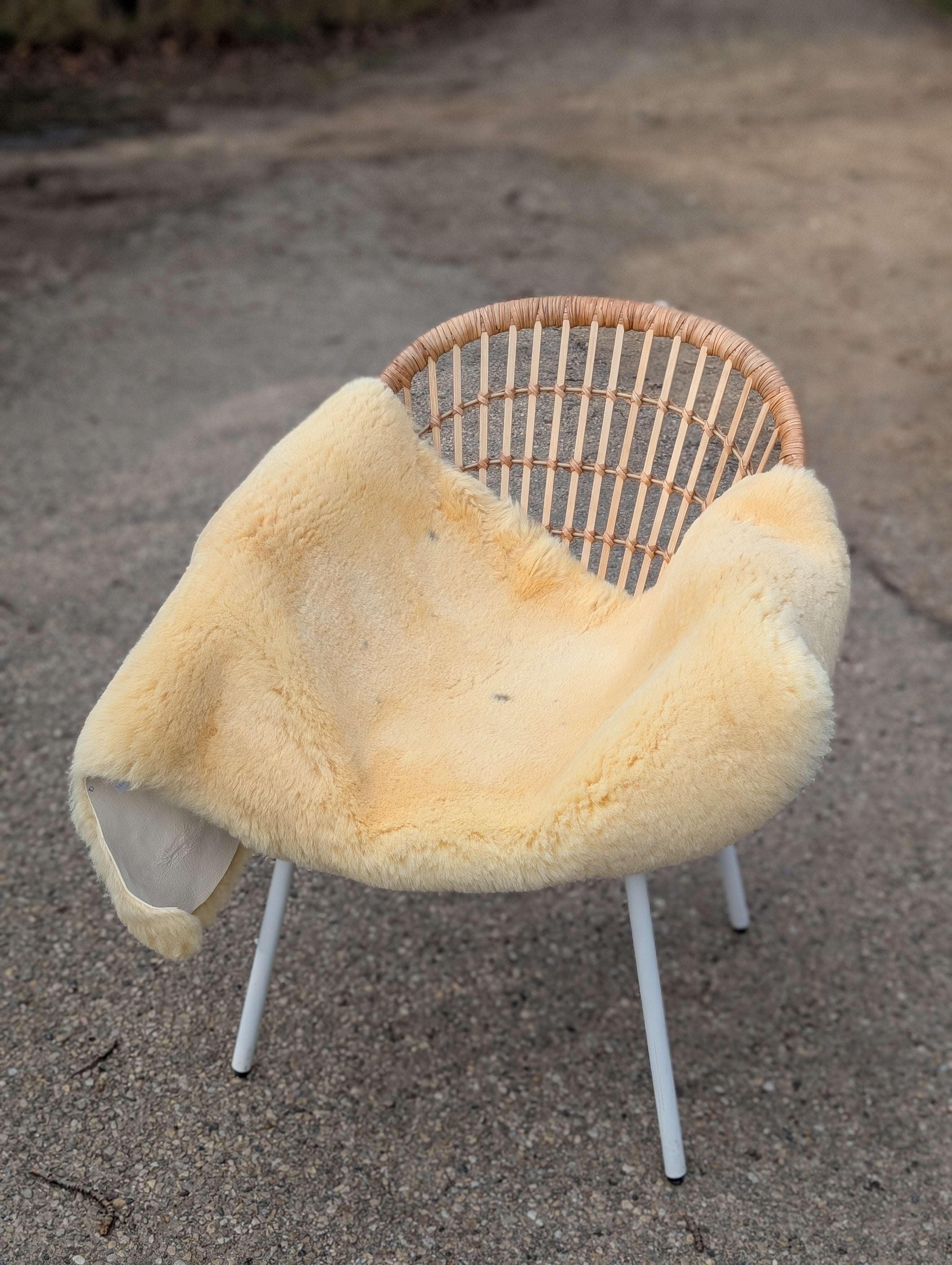 M-8  52" x 27" Extra Large Washable Medical Sheepskin Naturally Spotted
