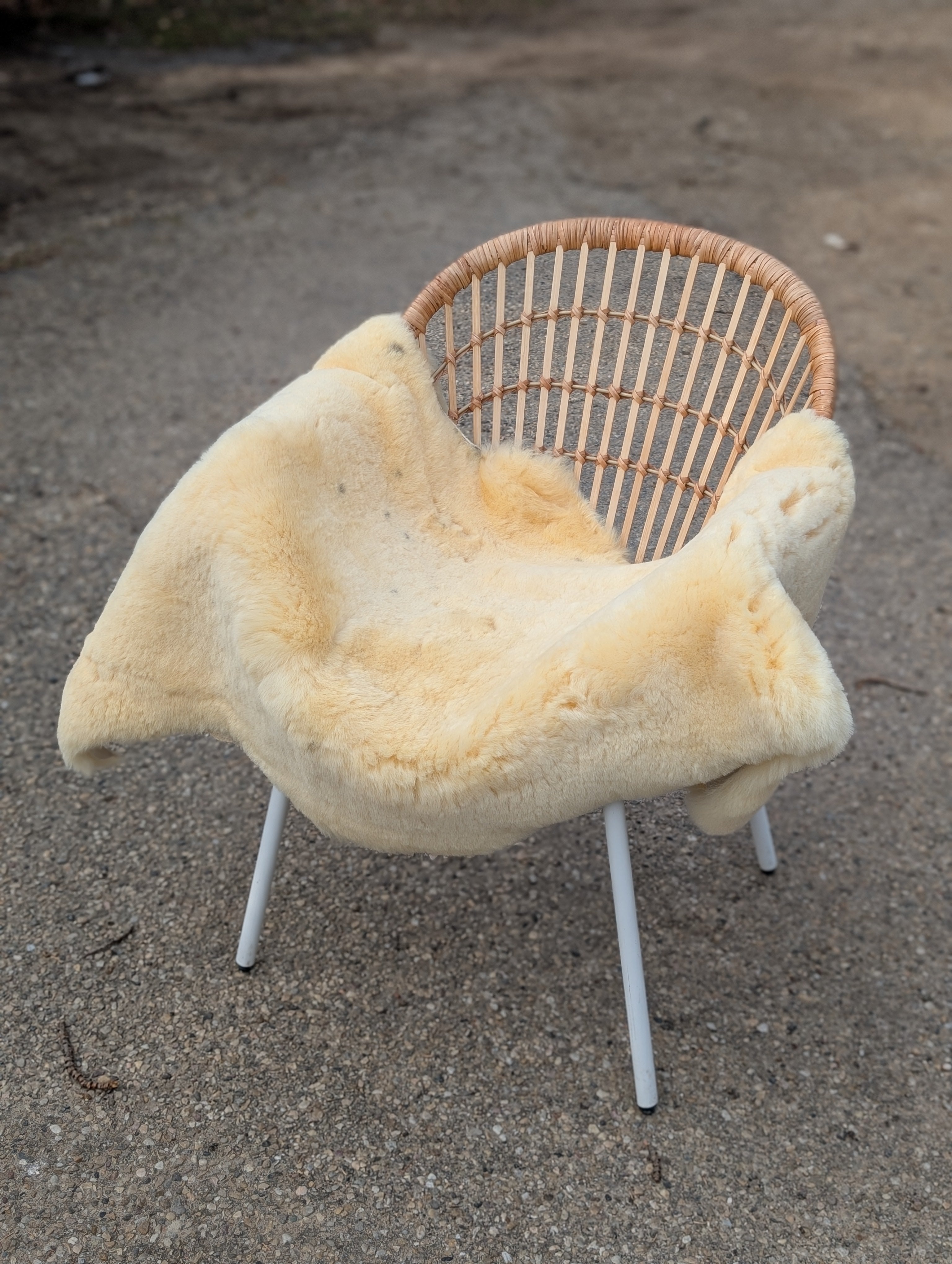 M-7  52" x 31" Extra Large Washable Medical Sheepskin Naturally Spotted