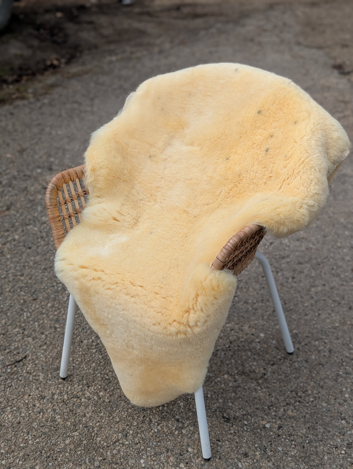 M-7  52" x 31" Extra Large Washable Medical Sheepskin Naturally Spotted