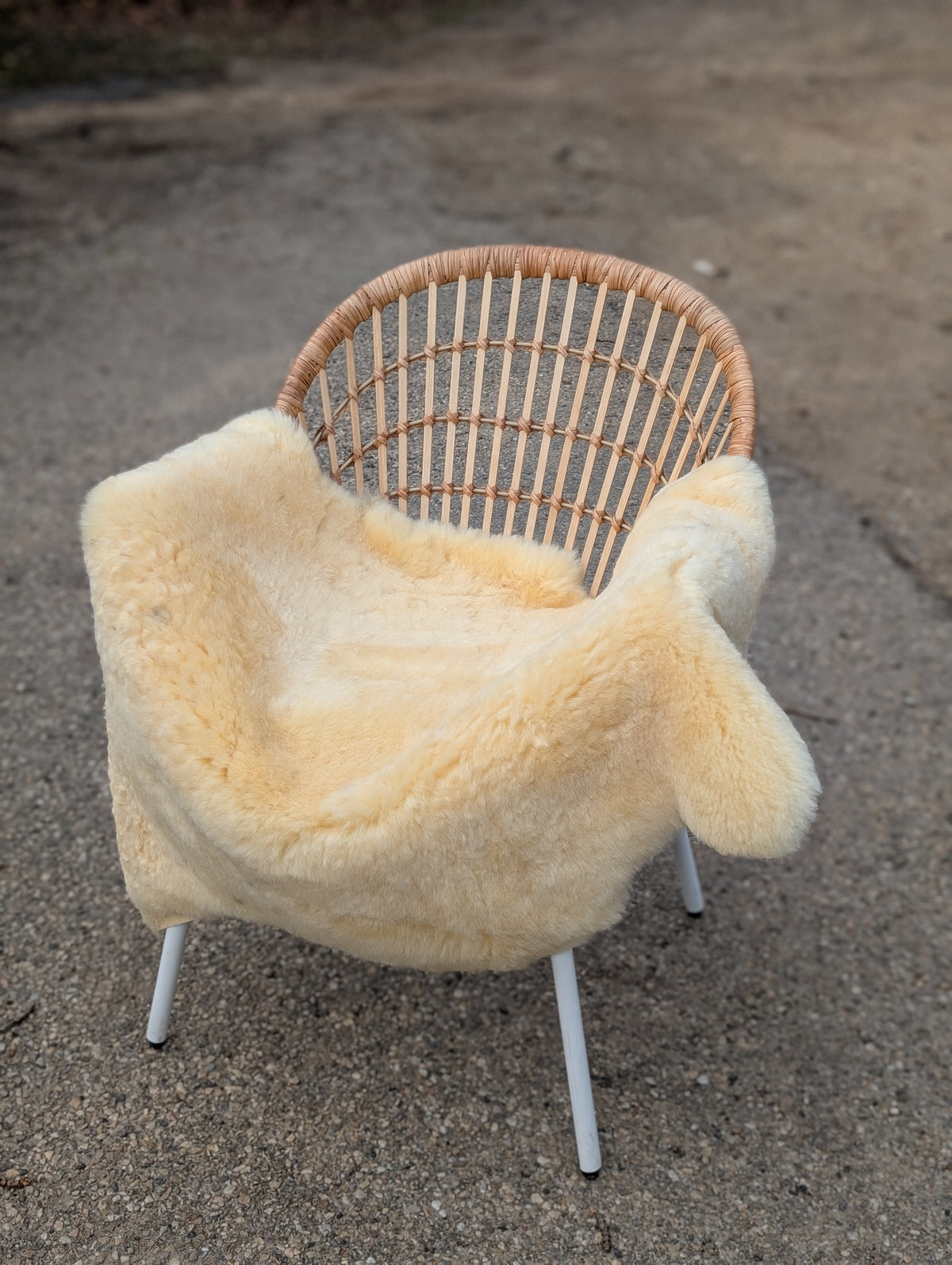 M-8  48.5" x 35" Extra Large Washable Medical Sheepskin Naturally Spotted