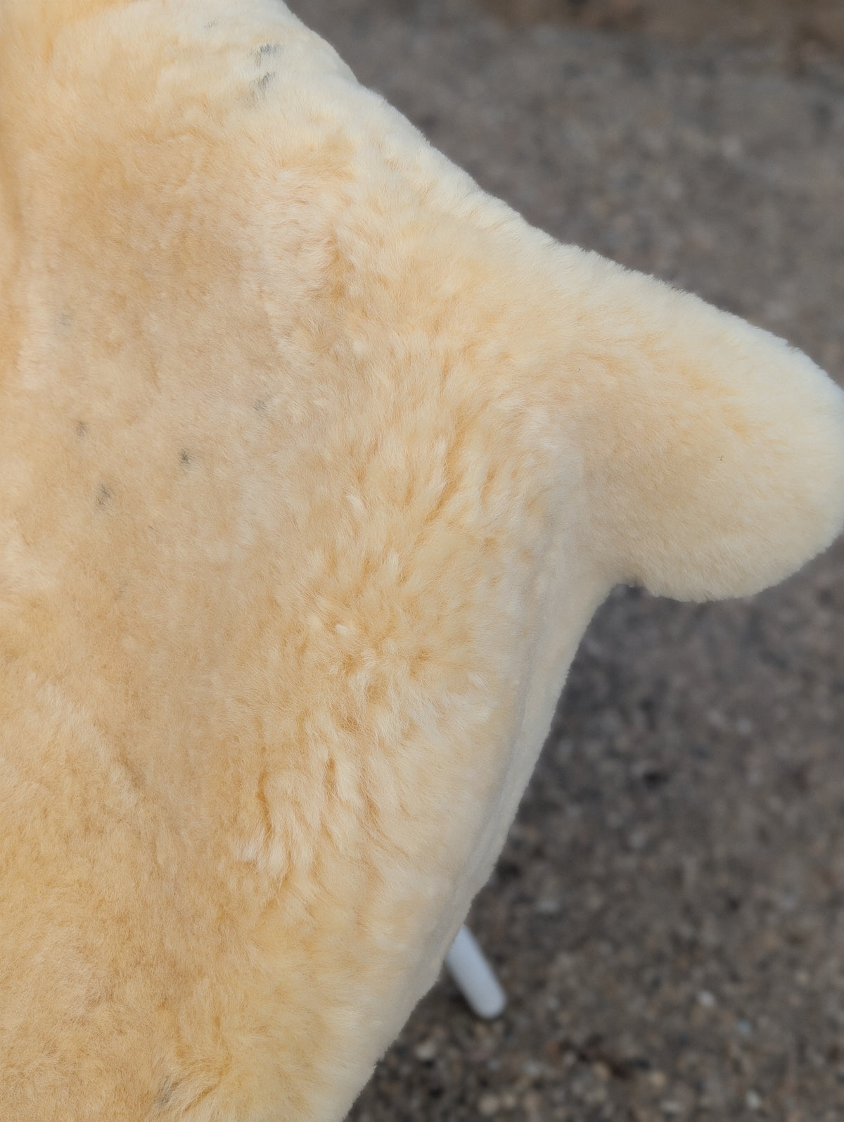 M-8  48.5" x 35" Extra Large Washable Medical Sheepskin Naturally Spotted