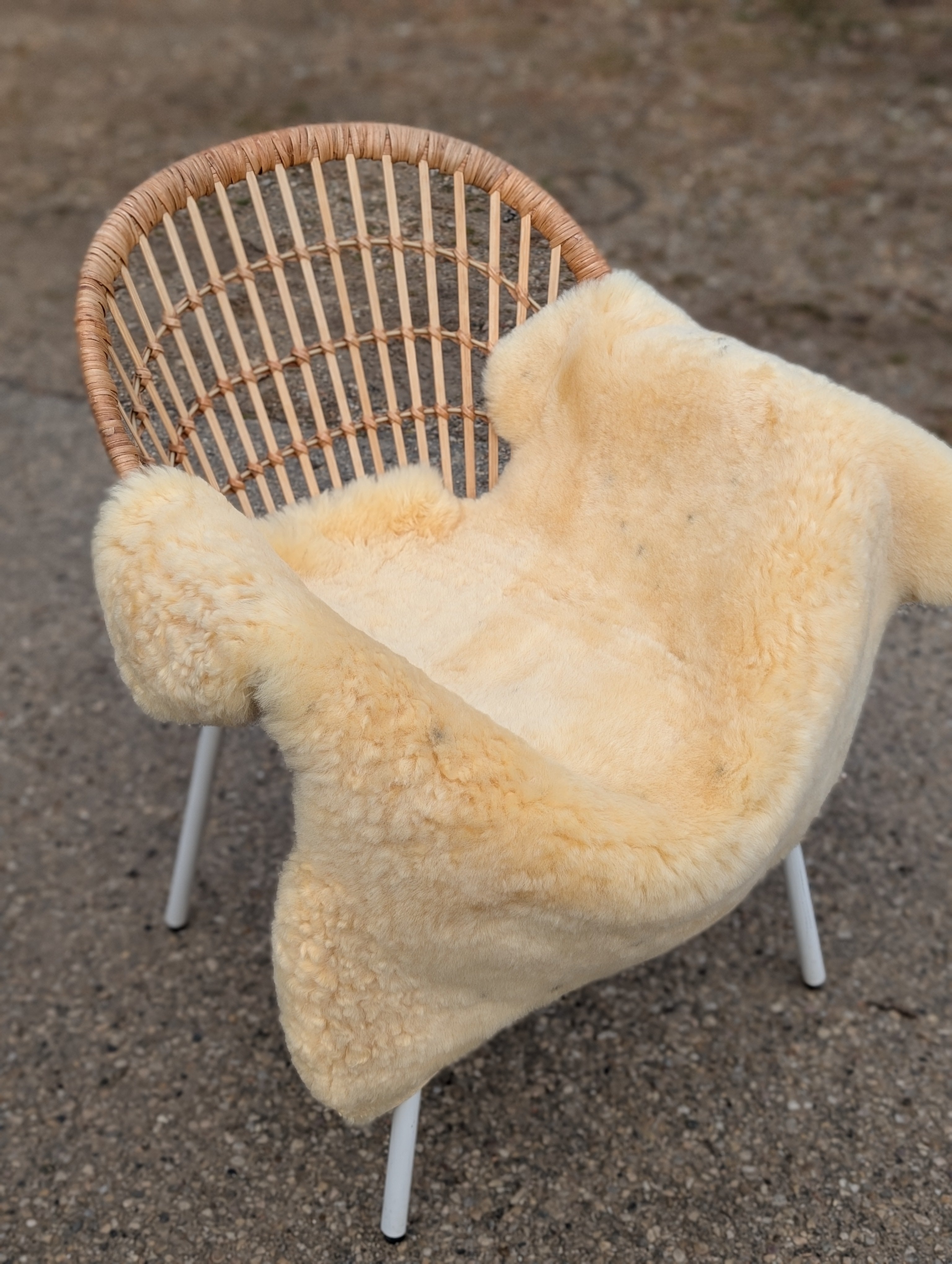 M-8  48.5" x 35" Extra Large Washable Medical Sheepskin Naturally Spotted