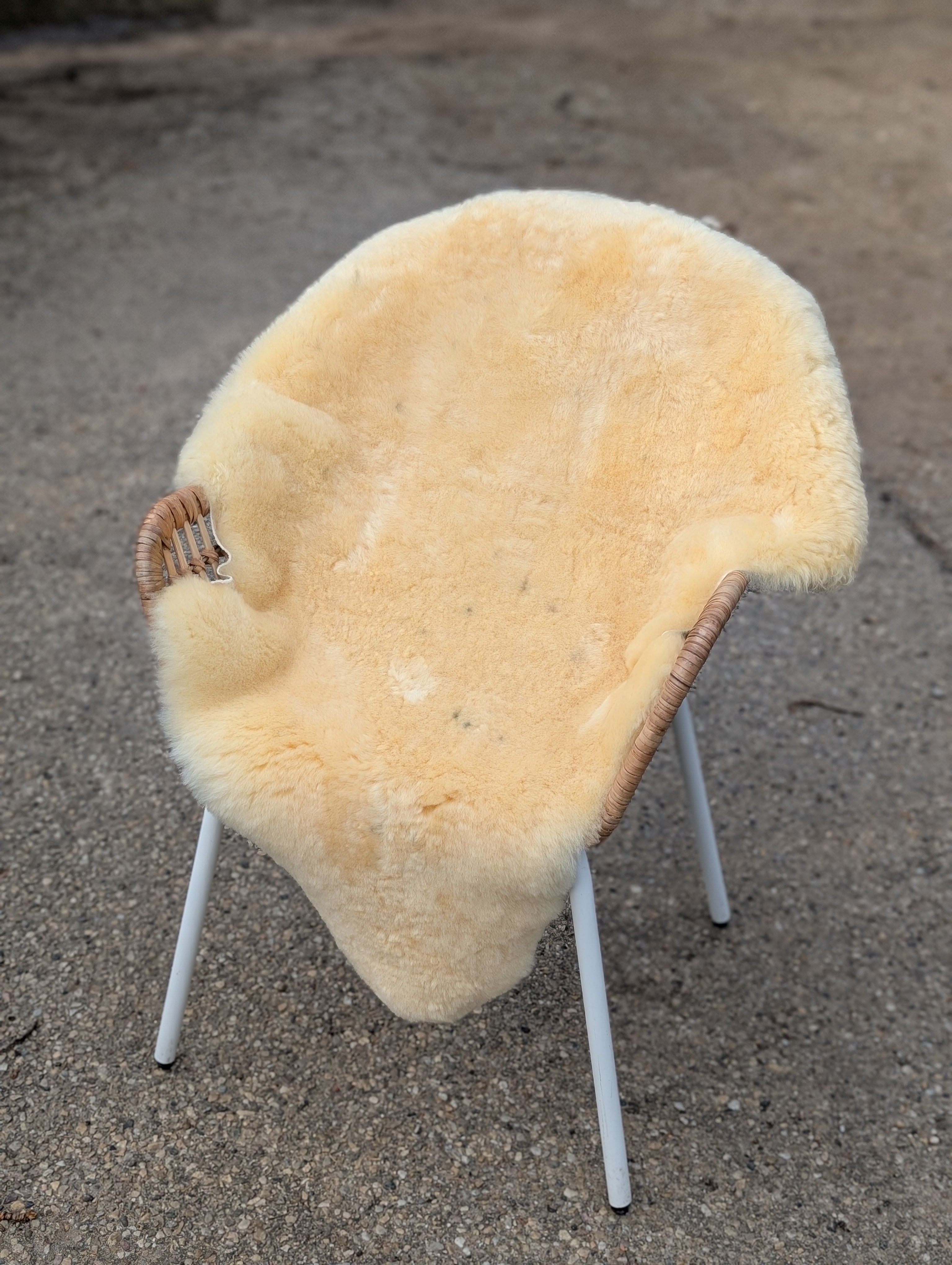 M-8  48.5" x 35" Extra Large Washable Medical Sheepskin Naturally Spotted