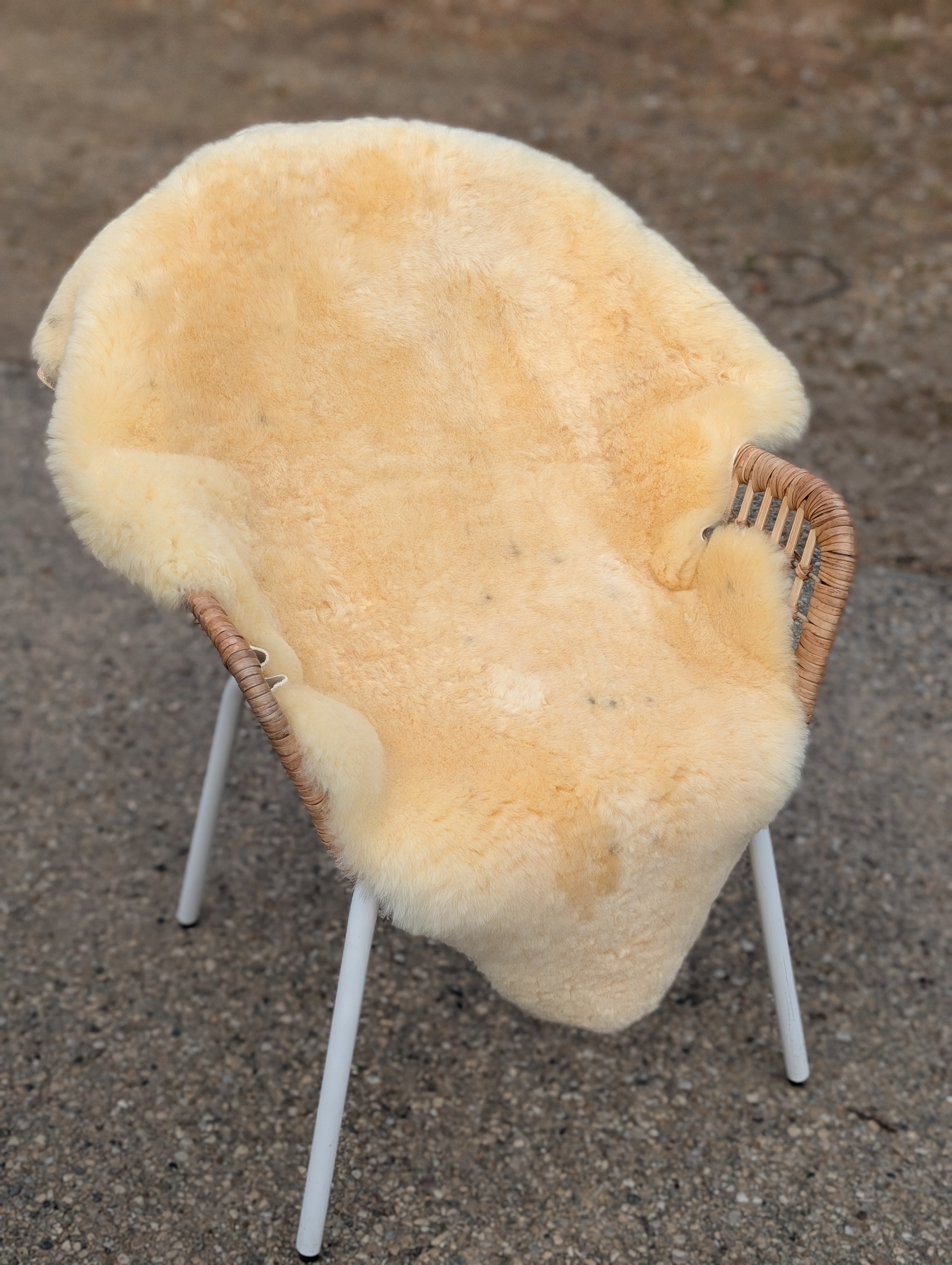 M-8  48.5" x 35" Extra Large Washable Medical Sheepskin Naturally Spotted