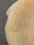 M-8  48.5" x 35" Extra Large Washable Medical Sheepskin Naturally Spotted