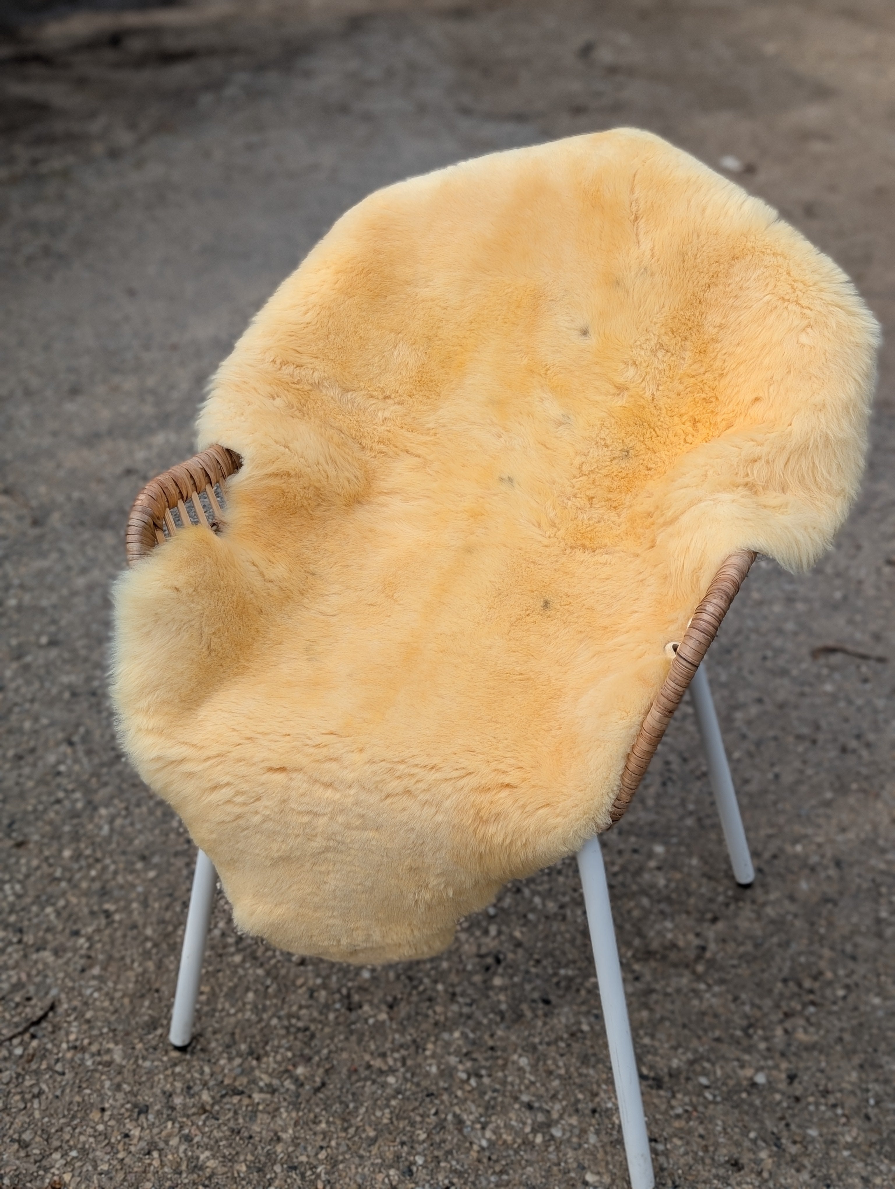 M-6  49" x 32" Extra Large Washable Medical Sheepskin Naturally Spotted