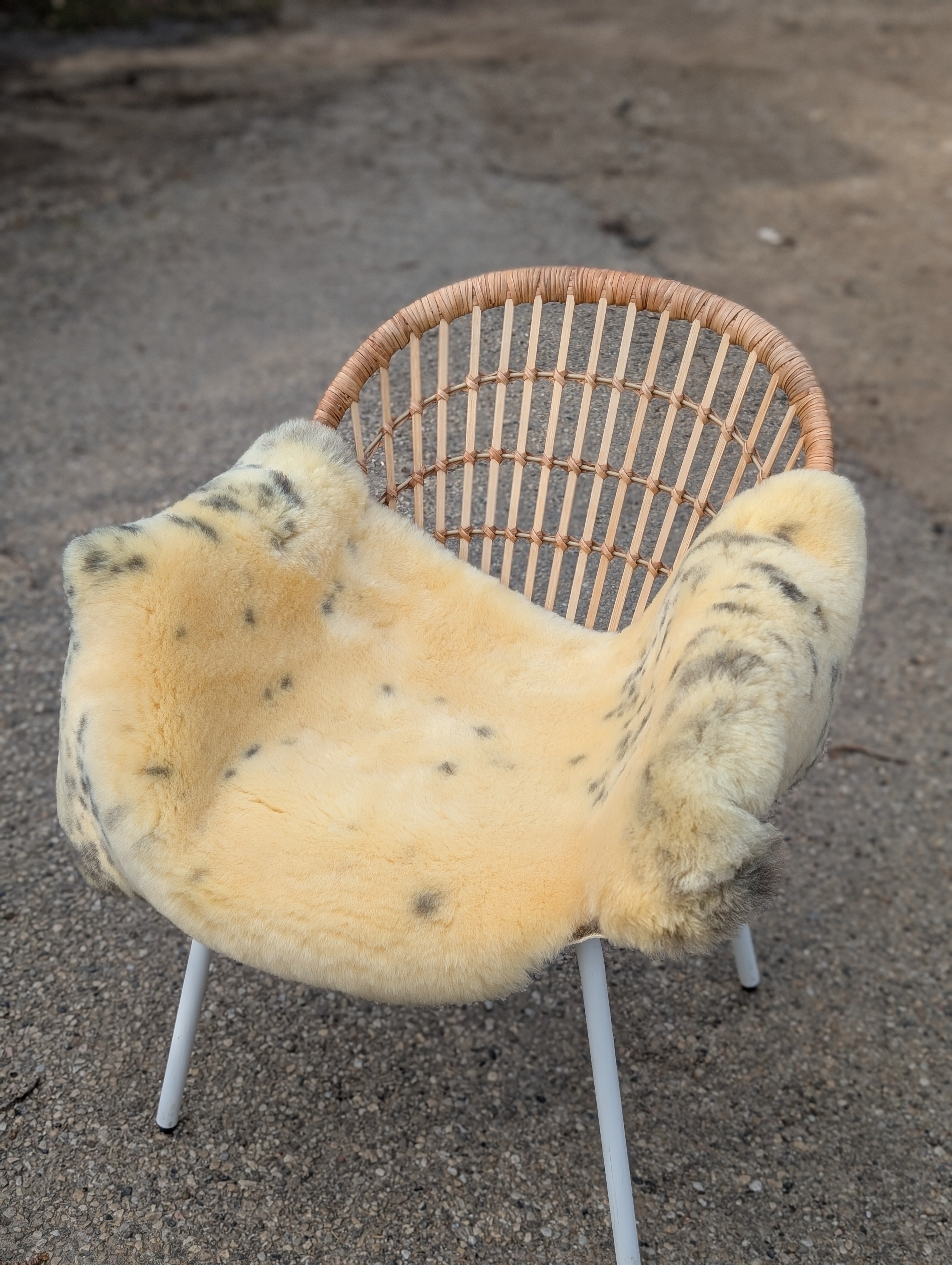 M-5  45.5" x 25" Large Washable Medical Sheepskin Naturally Spotted