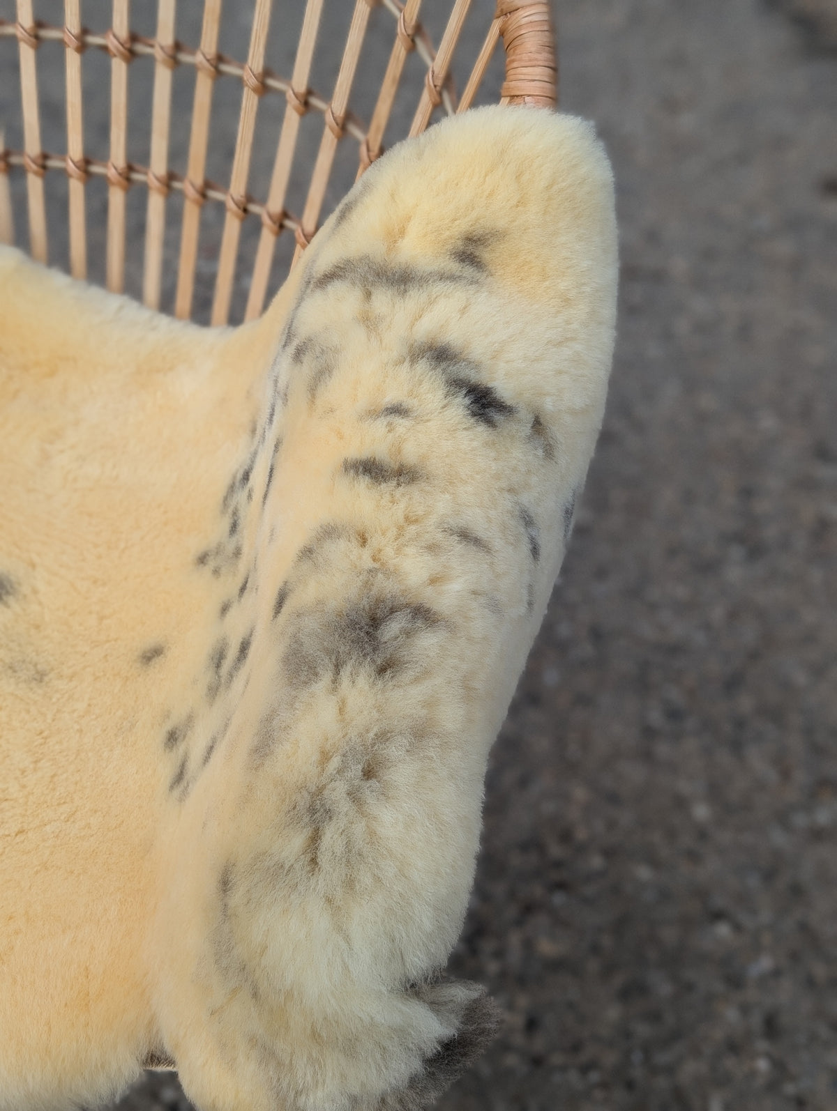 M-5  45.5" x 25" Large Washable Medical Sheepskin Naturally Spotted
