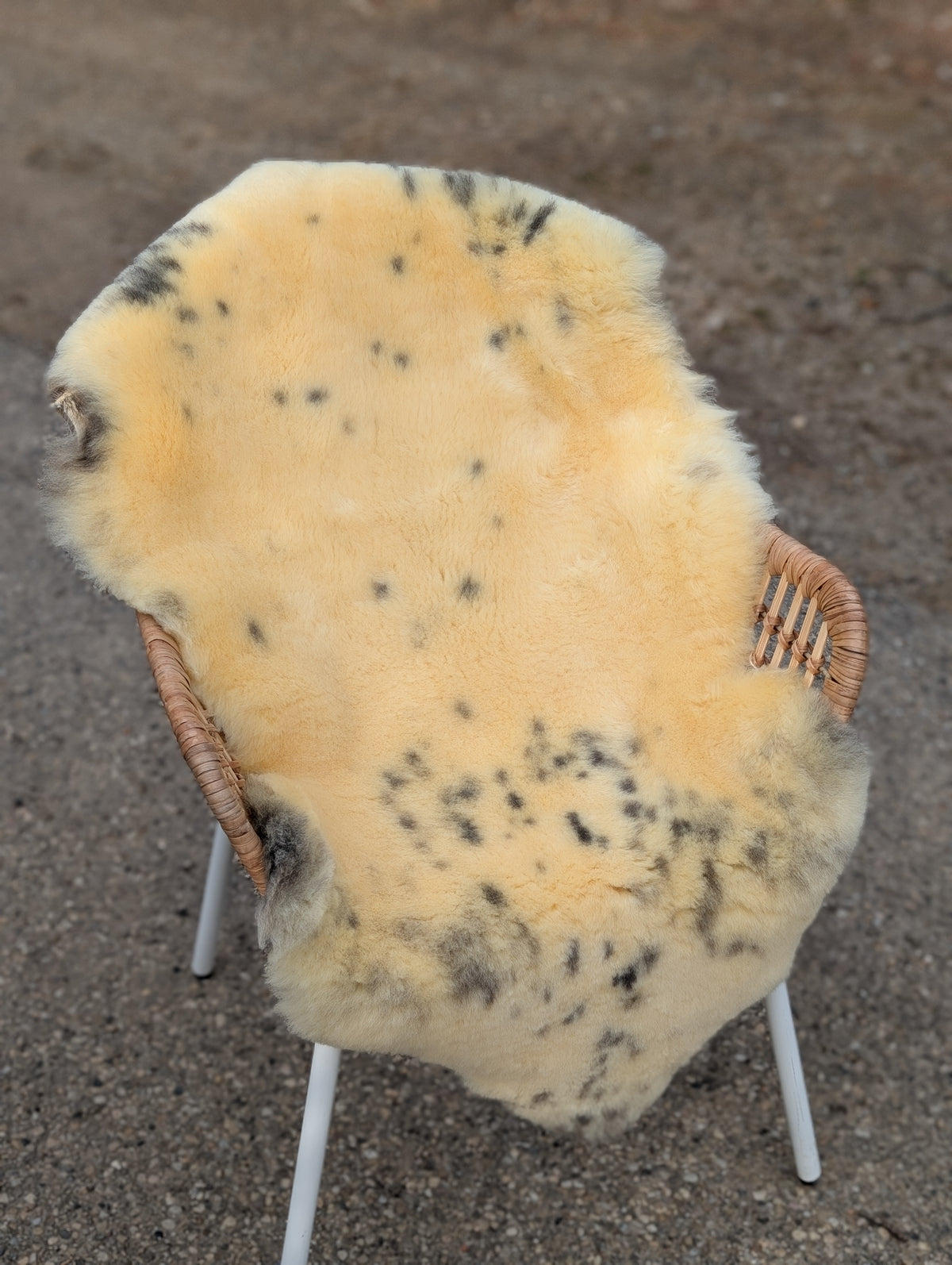 M-5  45.5" x 25" Large Washable Medical Sheepskin Naturally Spotted