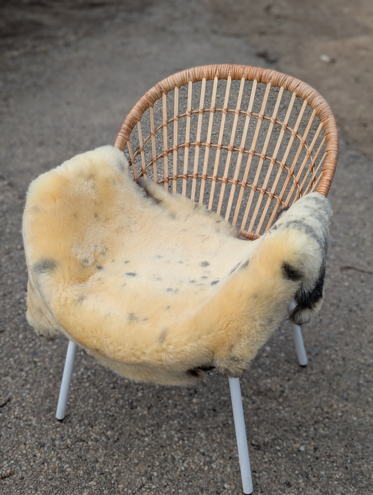 M-4  43" x 28" Large Washable Medical Sheepskin Naturally Spotted