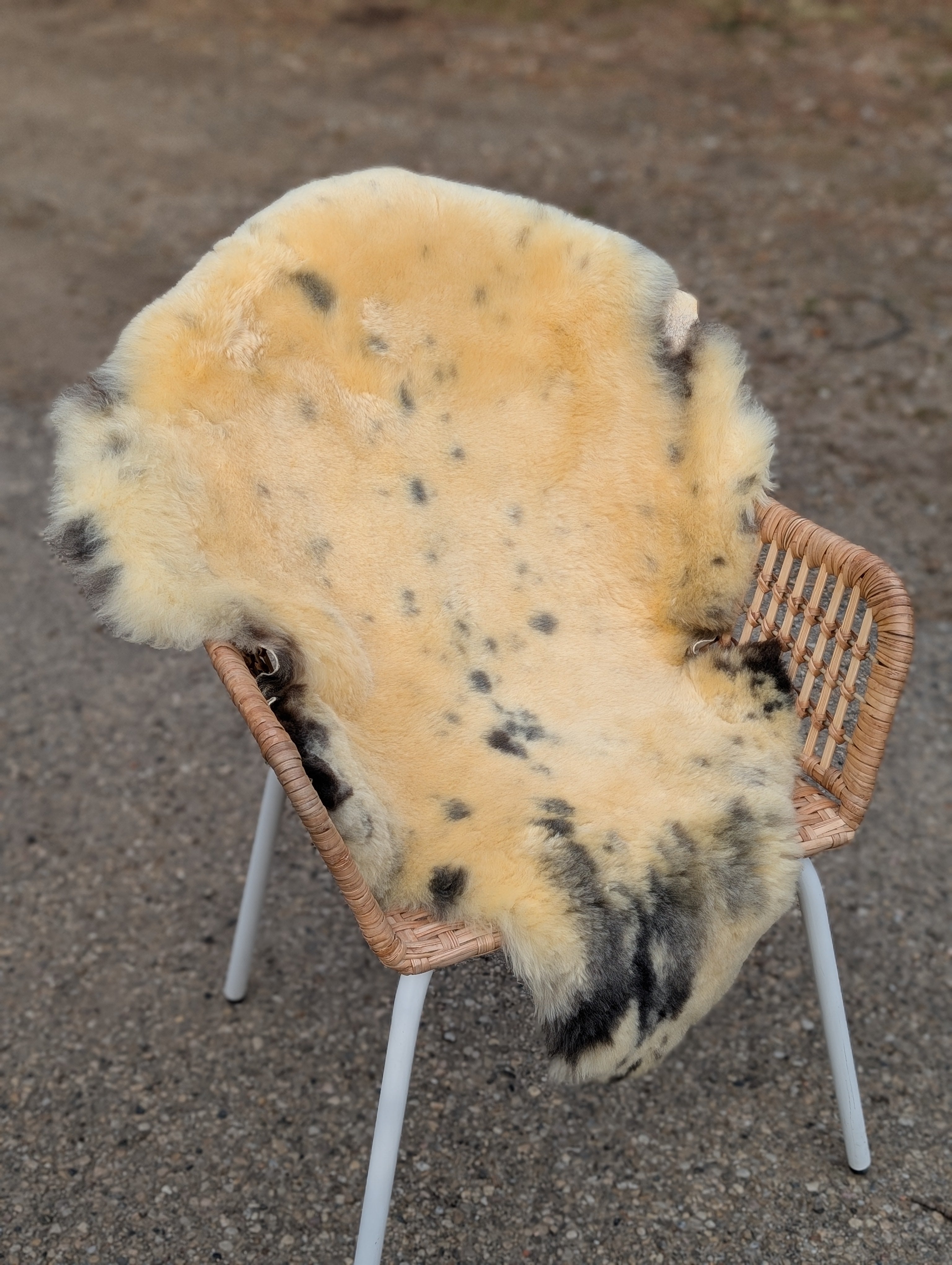 M-4  43" x 28" Large Washable Medical Sheepskin Naturally Spotted