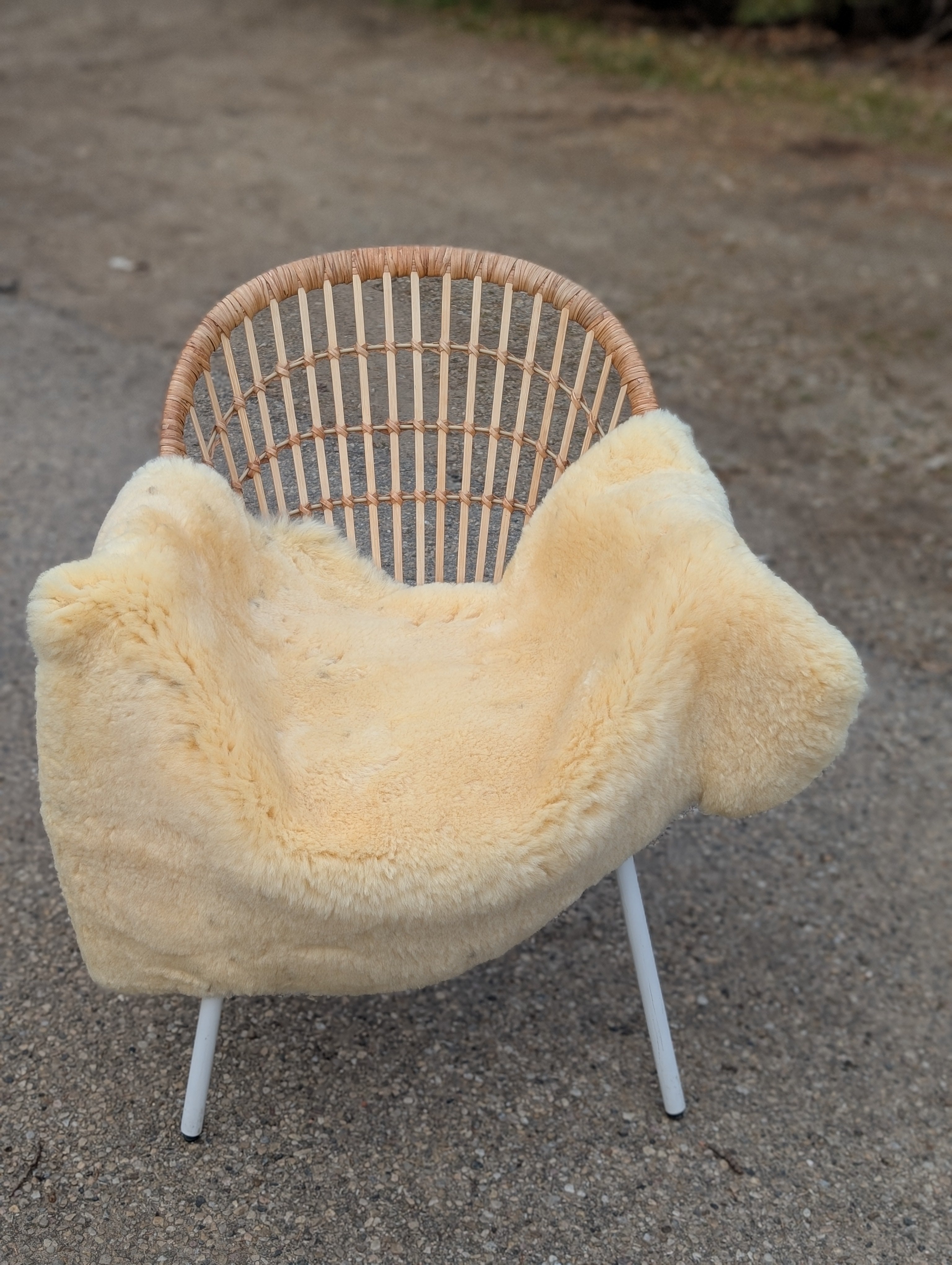M-4  45.5" x 32" Large Washable Medical Sheepskin Naturally Spotted
