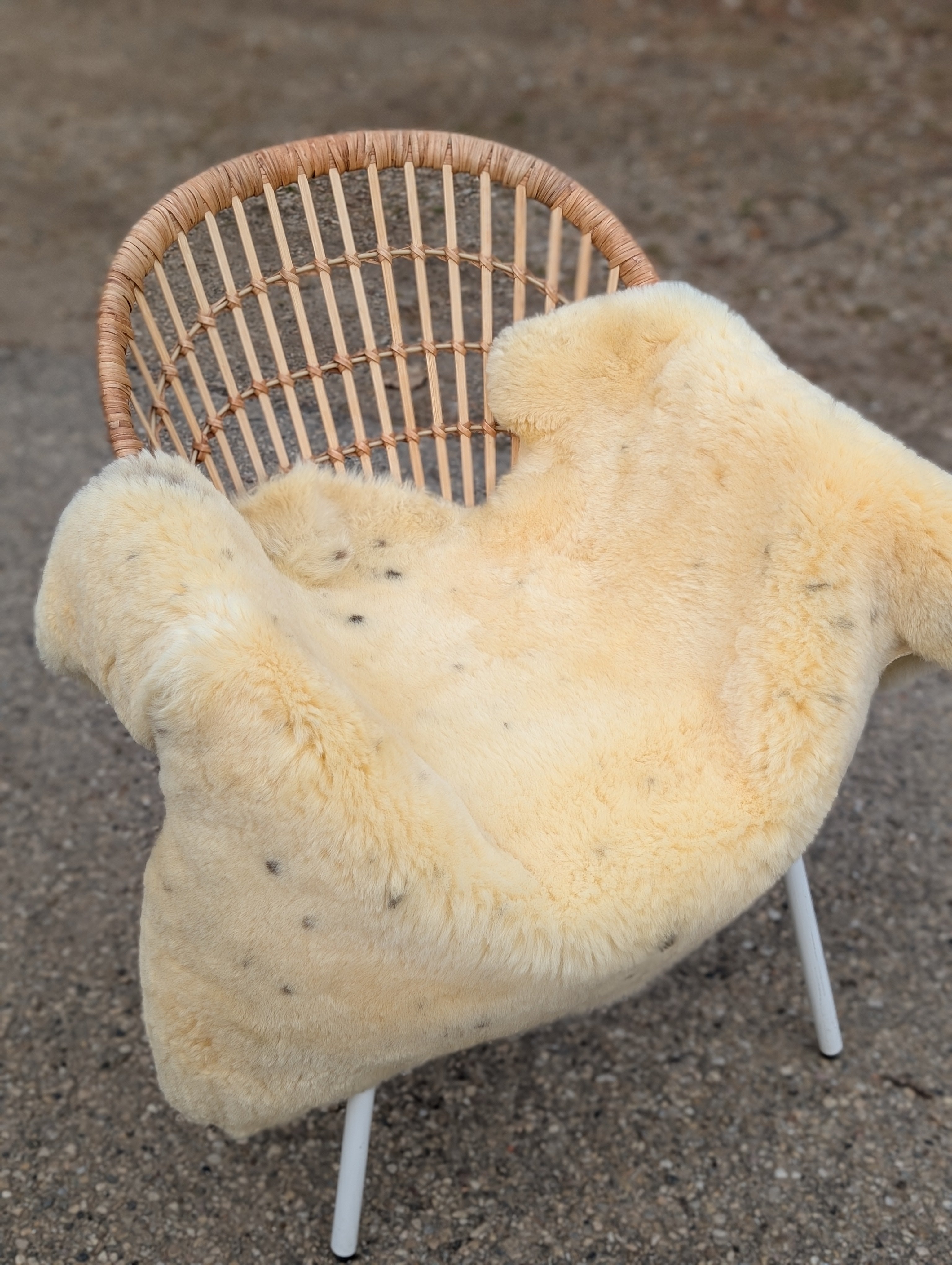 M-1  49" x 32" Extra Large Washable Medical Sheepskin Naturally Spotted