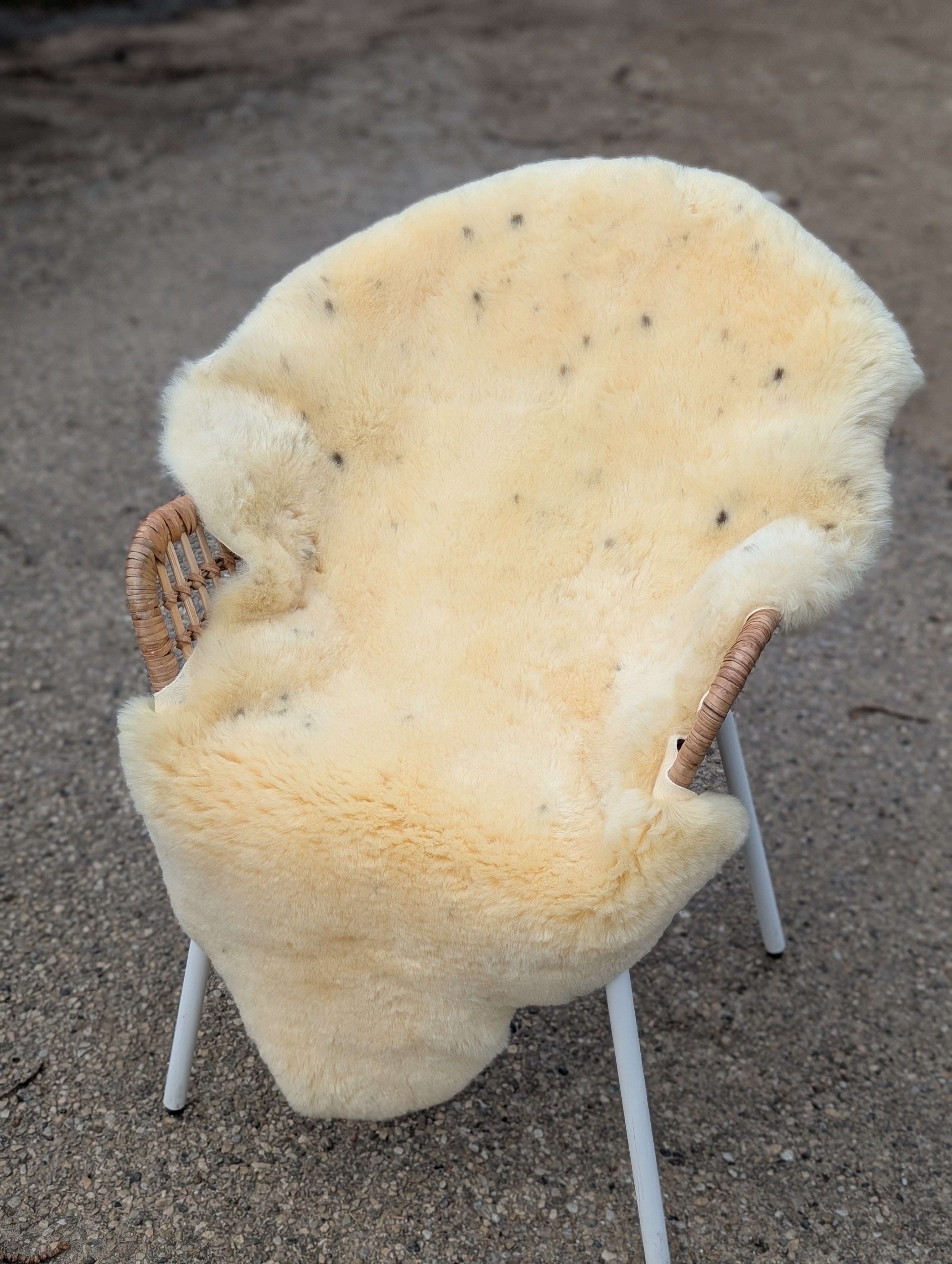 M-1  49" x 32" Extra Large Washable Medical Sheepskin Naturally Spotted