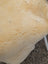 M-1  49" x 32" Extra Large Washable Medical Sheepskin Naturally Spotted